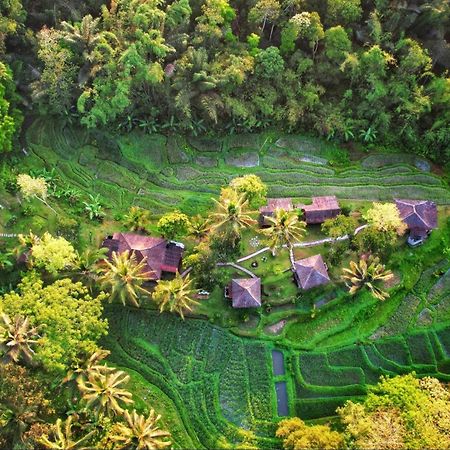 Villa Oemah Tepi Sawah Jatiluwih Exterior foto