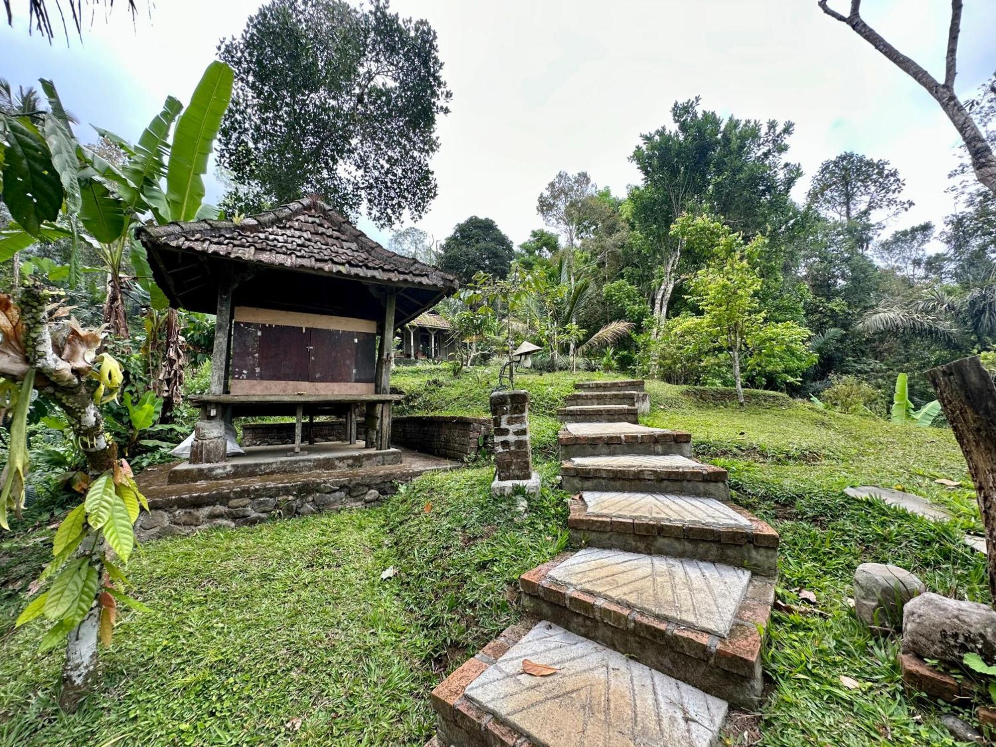 Villa Oemah Tepi Sawah Jatiluwih Exterior foto