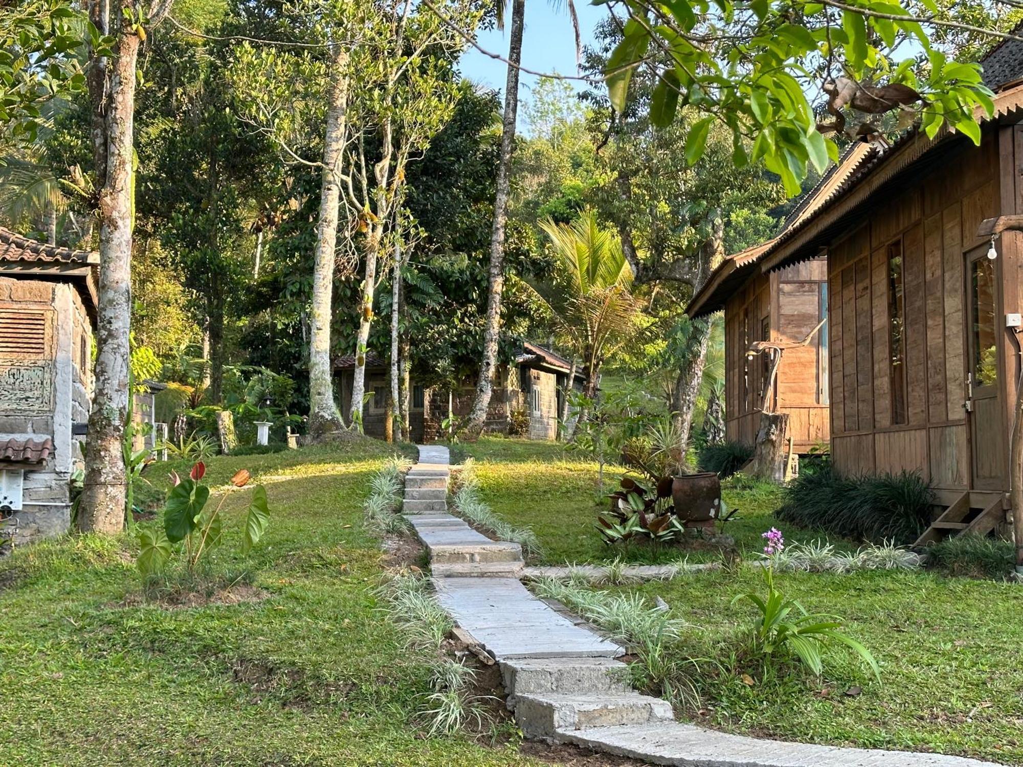 Villa Oemah Tepi Sawah Jatiluwih Exterior foto
